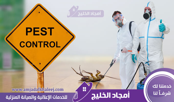 افضل شركة مكافحة حشرات بالمدينة المنورة بضّمان وخصم 15% ورش مبيدات فعّالة