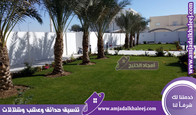 تكريب نخيل بالدمام | تقليم وتنظيف النخل بأرخص اسعاربخدمة 24/7ساعة