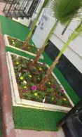 شركة تنسيق حدائق بالقطيف | تركيب عشب وشلالات بأسعار تنافسية