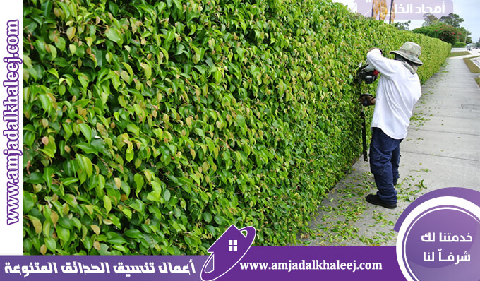 عامل قص اشجار بالدمام لتهذيب وتقليم اشجار الزينة بالدمام والخبر والمنطقة الشرقية