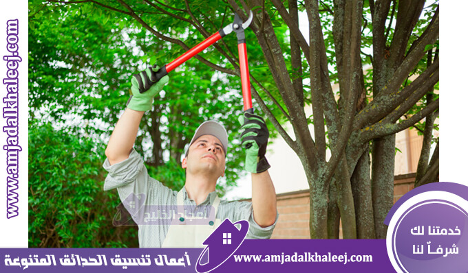 عامل قص اشجار بالدمام لتهذيب وتقليم اشجار الزينة بالدمام والخبر والمنطقة الشرقية